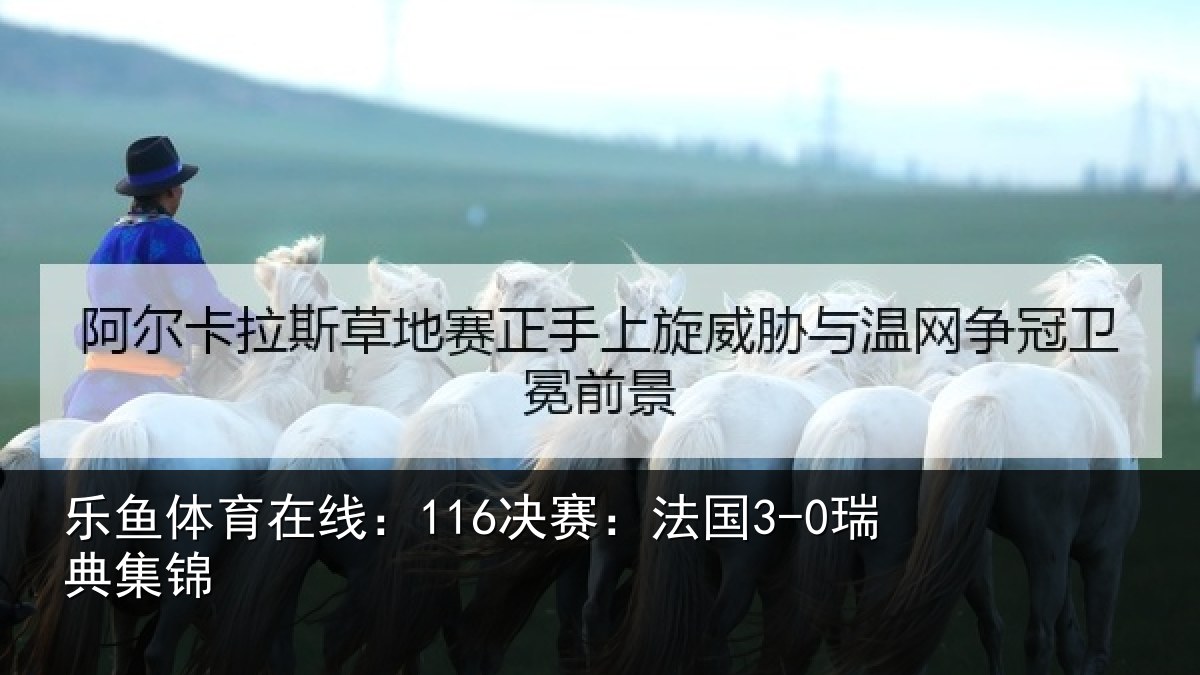 乐鱼体育在线：116决赛：法国3-0瑞典集锦