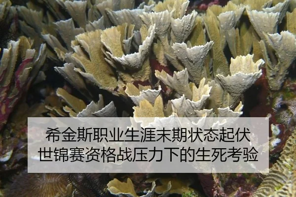 xi-jin-si-zhi-ye-sheng-ya-mo-qi-zhuang-tai-qi-fu-shi-jin-sai-zi-ge-zhan-ya-li-xia-de-sheng-si-kao-yan-3-403.jpg